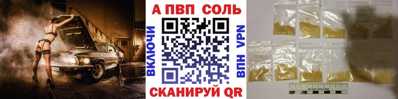 Альфа ПВП СК КРИС Киров