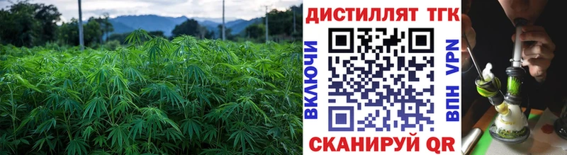 МЕГА как зайти  хочу наркоту  Киров  Дистиллят ТГК гашишное масло 